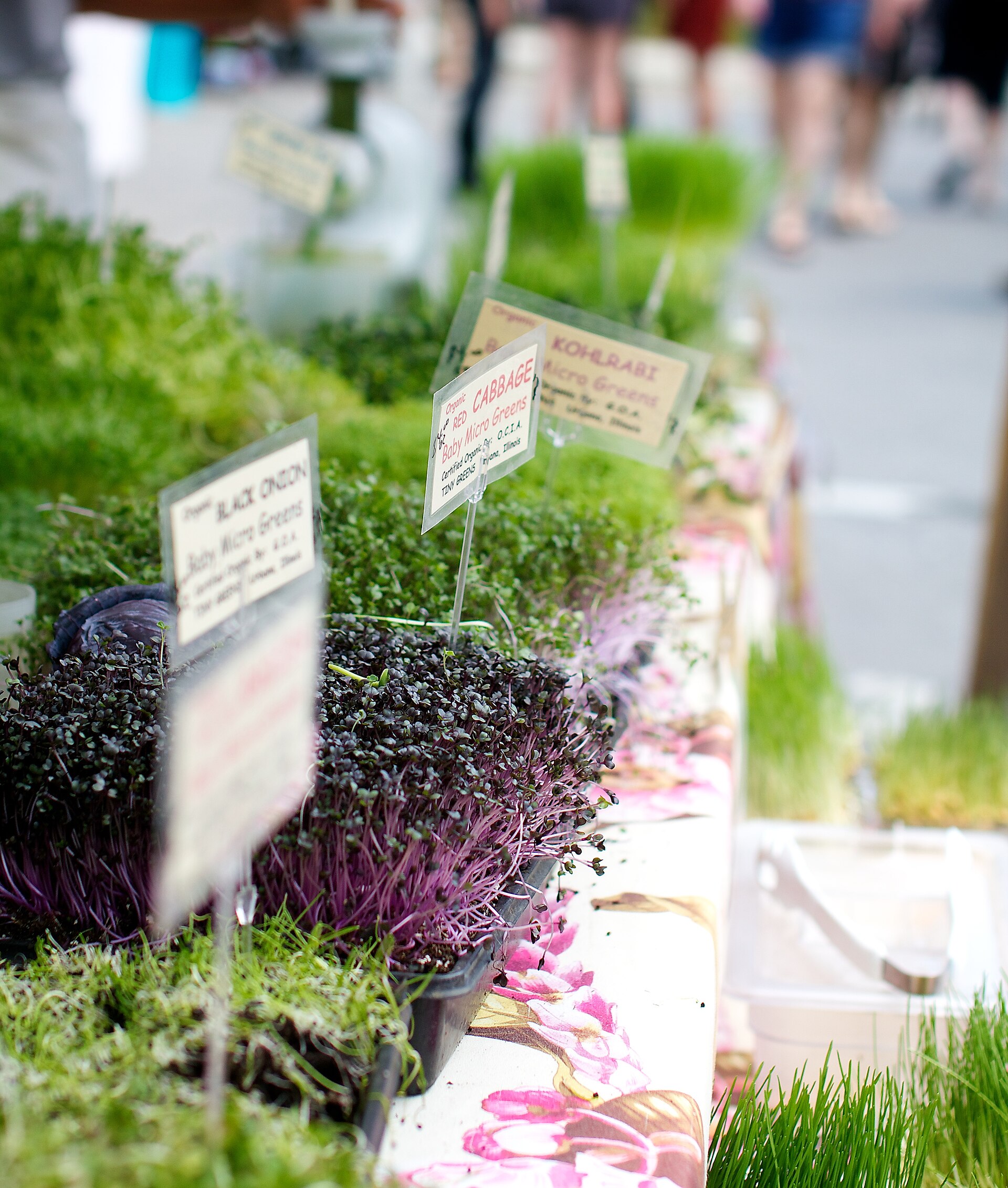 Illustrative photo of Logan Square Farmers Market, not Hooligan Chicago