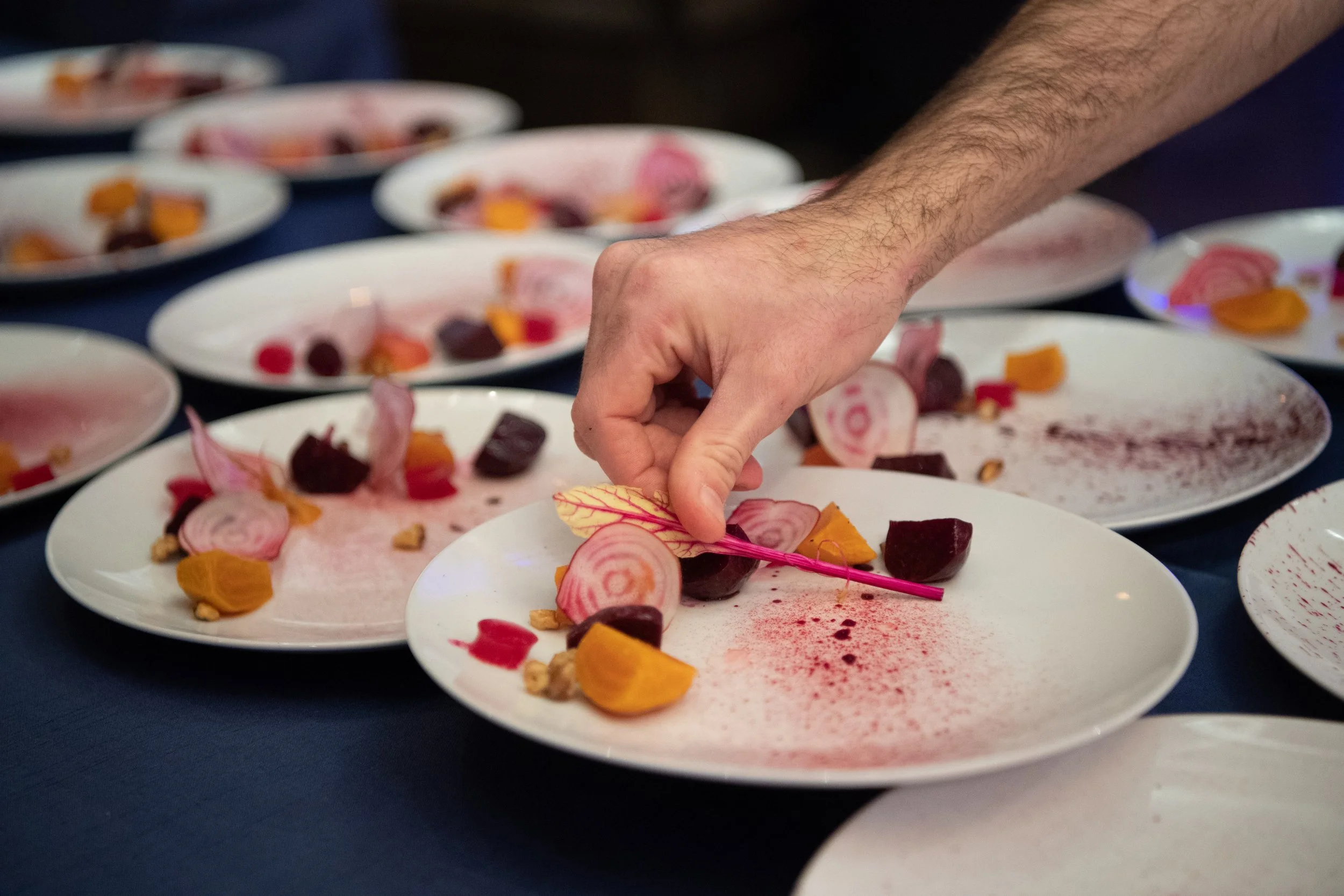 A chef placing candy-striped beets with tweezers on a row of plates at Celebrity Chef Ball Chicago