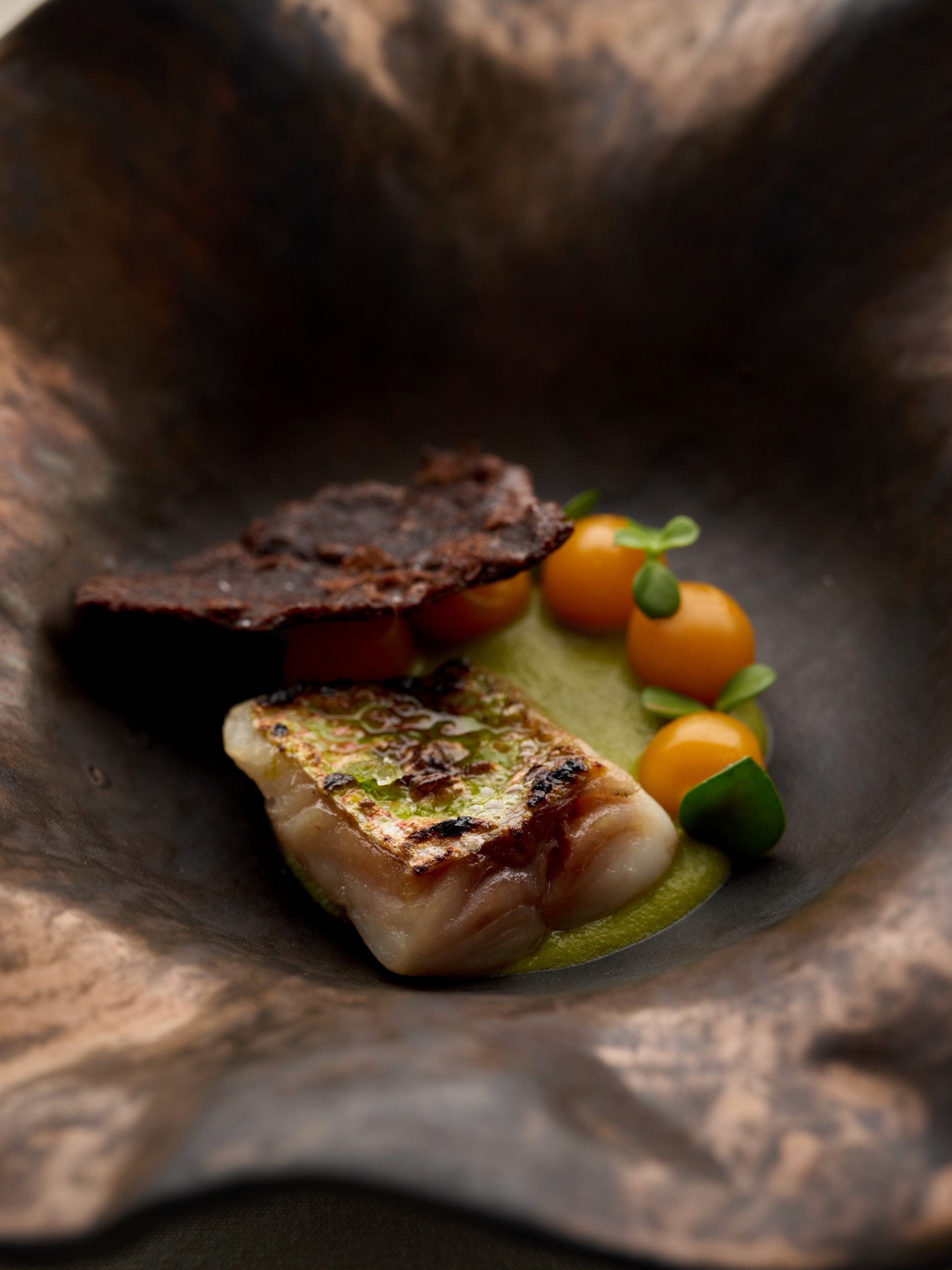 Charcoal-grilled snapper over green mole verde with gooseberries, purslane and a crisp bean chip on a dark plate