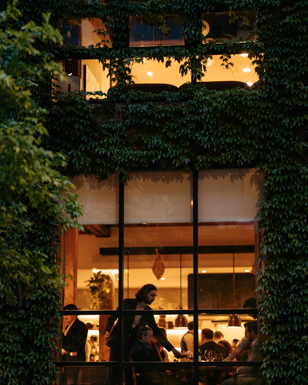 Smyth Chicago exterior on Ada Street with ivy-covered brick and glowing windows